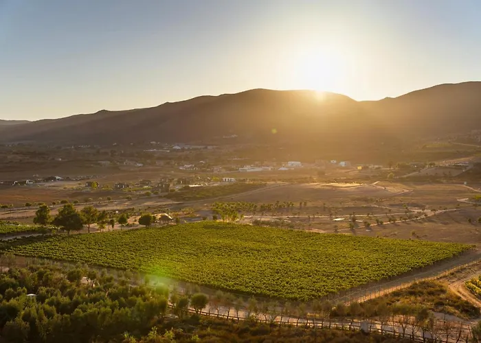 Banyan Tree Veya, Valle De Guadalupe - A Wellness & Wine Resort