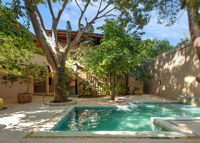 Welcome To Paradise - Luxurious Studio Oasis \