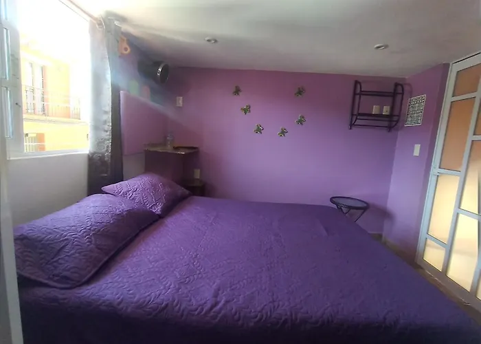 Hospedaje Casa Verde
