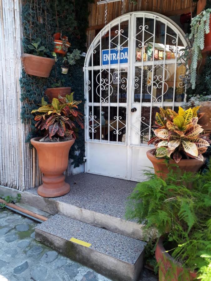 Inn Temazcal Casa Gema (Adults Only)