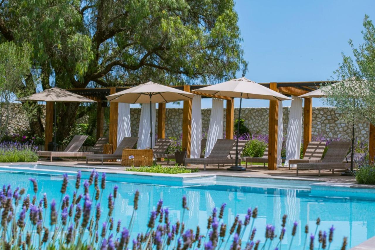 Vinedos San Francisco Hotel San Miguel de Allende