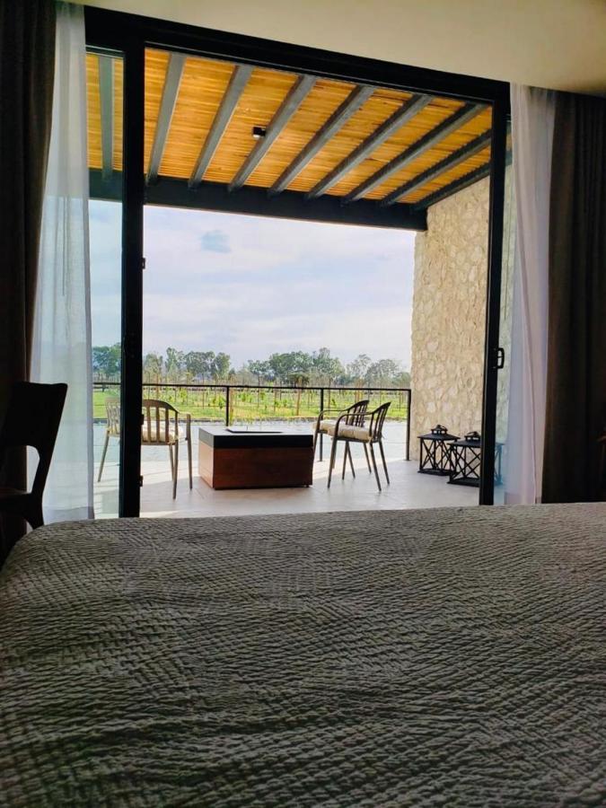 Vinedos San Francisco 5*