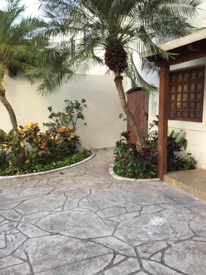 Pecari Bed & Breakfast Cancun