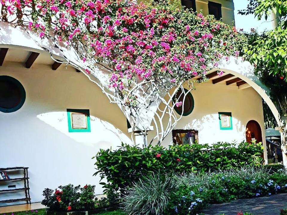 Hacienda Eden Hotel Troncones