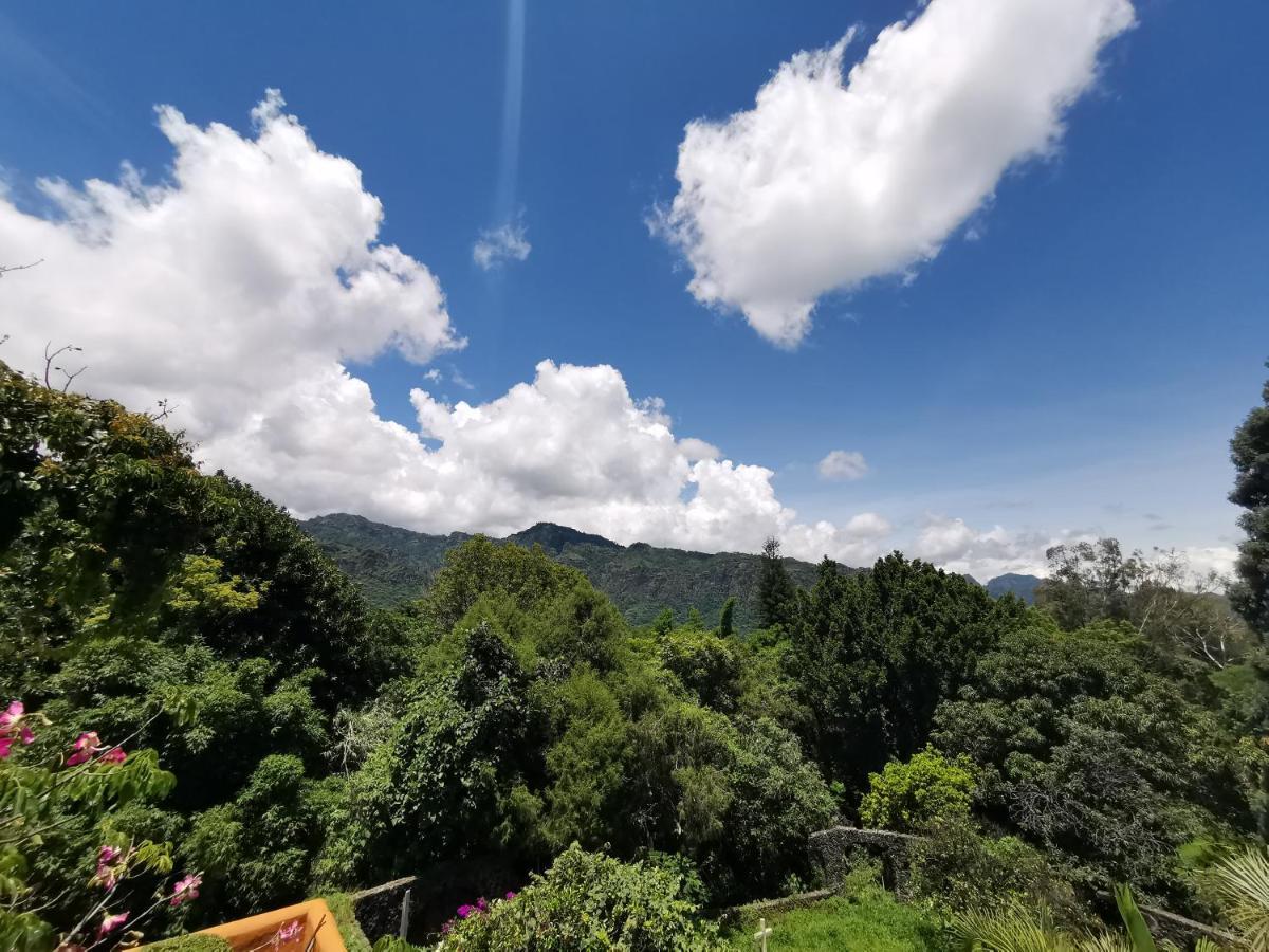 Mocca Hotel Tepoztlan