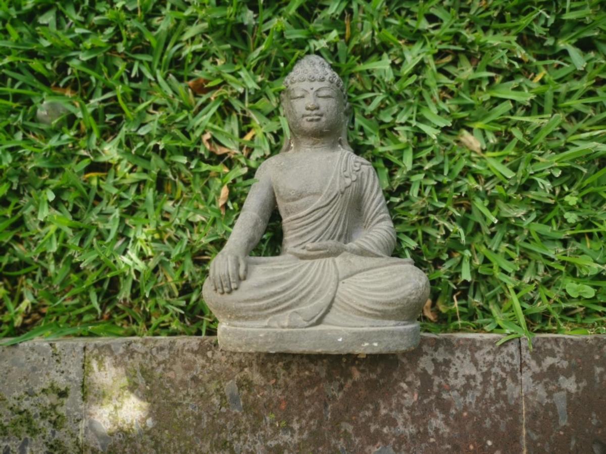 Mocca Tepoztlan