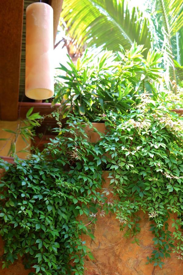 Holiday home The Inn Manzanillo Bay Troncones