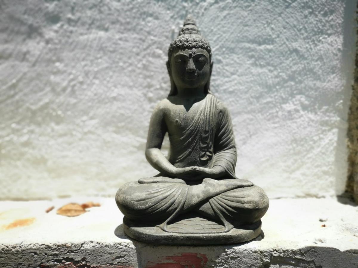 Mocca 4* Tepoztlan