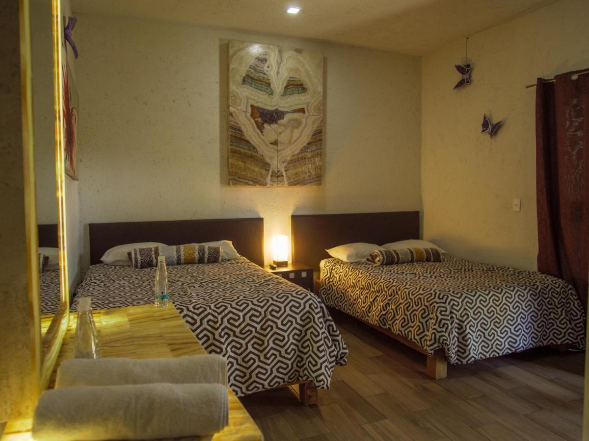 Mariposas 4*