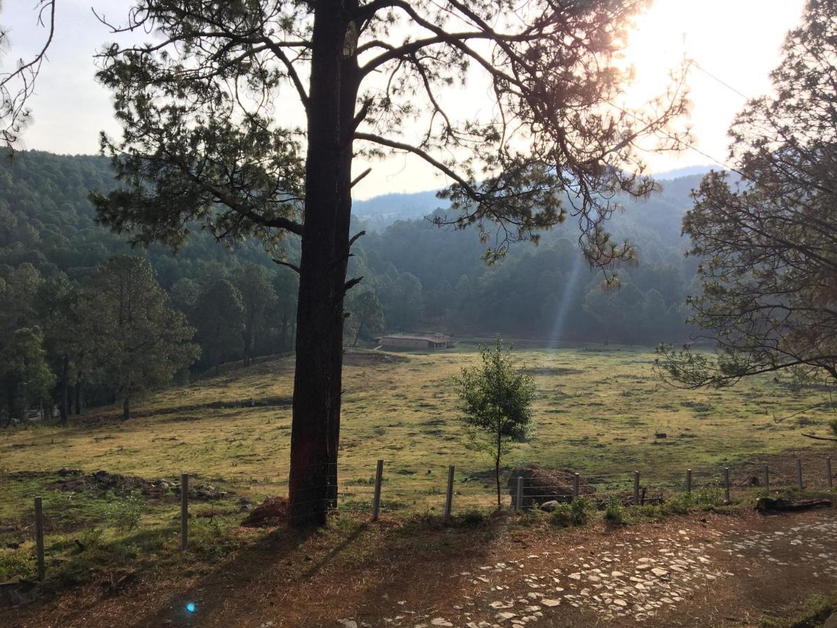 Campsite Alazanas