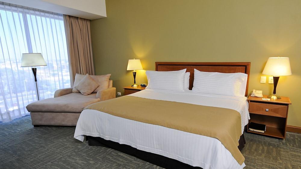 Hotel Holiday Inn Irapuato By Ihg Irapuato