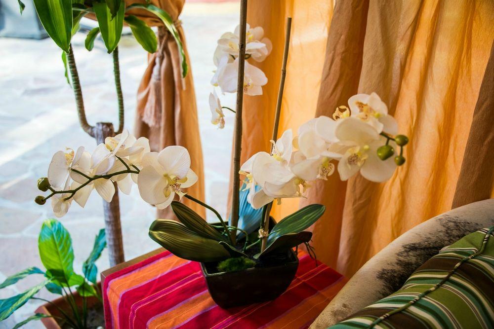 Hotel Tropicana Cabos, Tapestry Collection By Hilton San Jose del Cabo