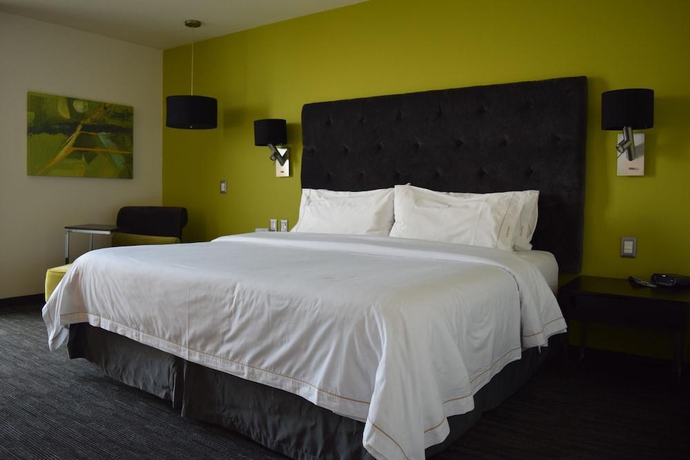 Express Galerias Metepec By Ihg Hotel 3*