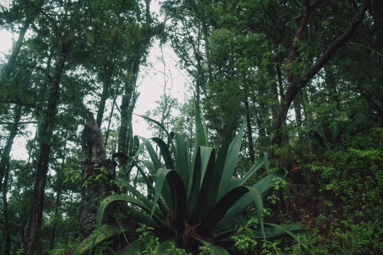 Rancho Viejo Lodge *