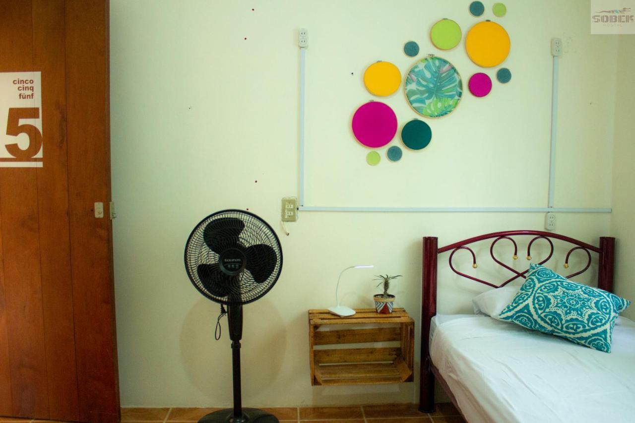 Guest house Casa Sobek *