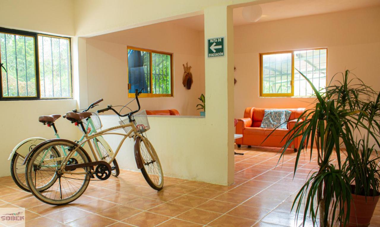 Guest house Casa Sobek Puerto Escondido (Oaxaca)