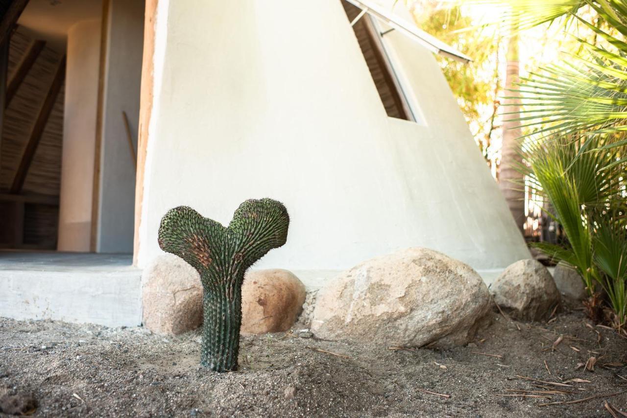 Campsite Tribu Todos Santos