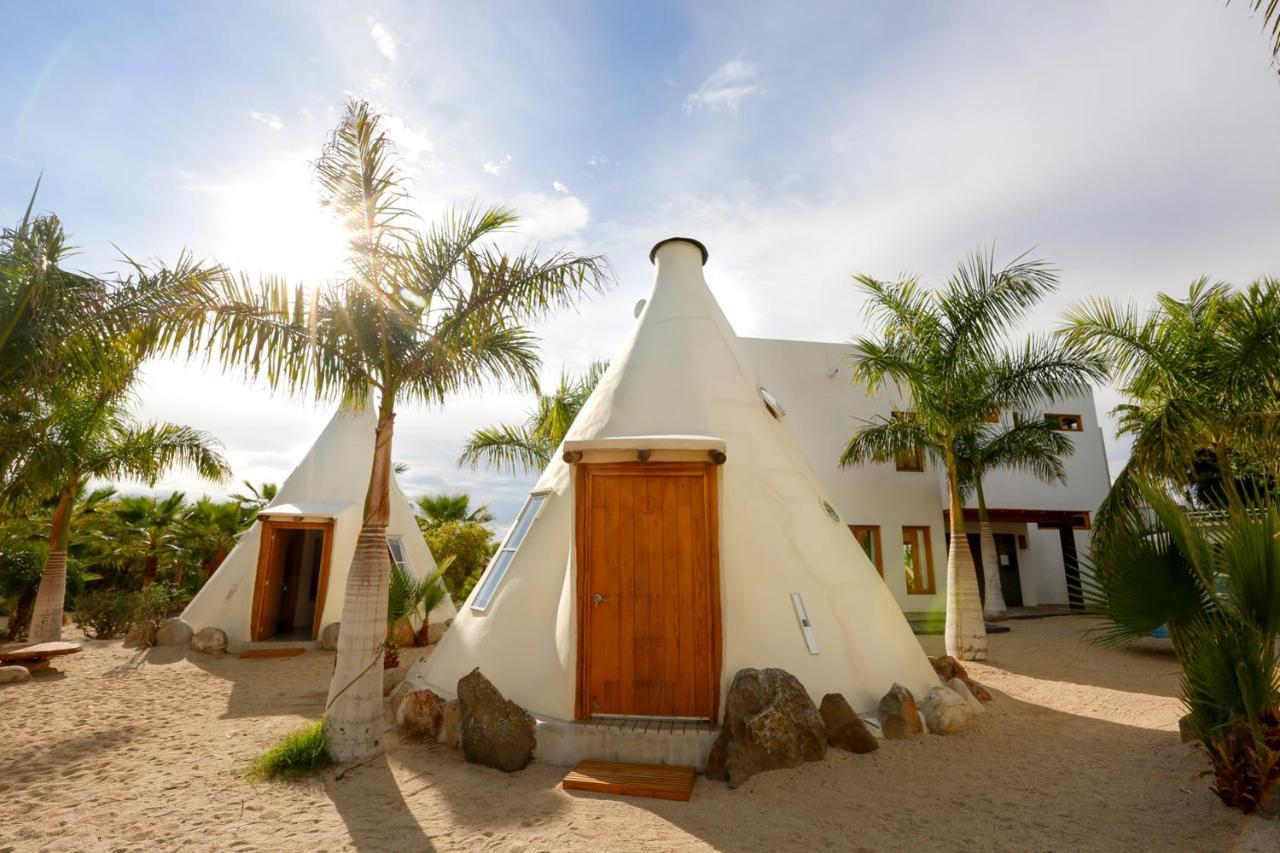 Tribu * Todos Santos