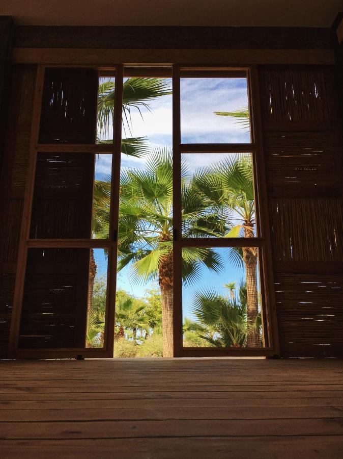 Campsite Tribu Todos Santos
