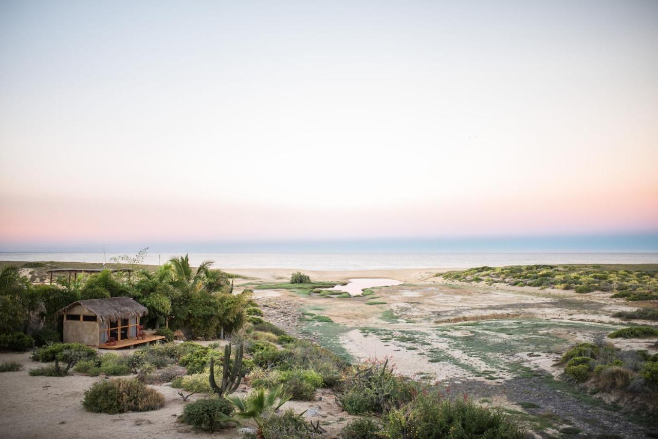 Tribu Todos Santos