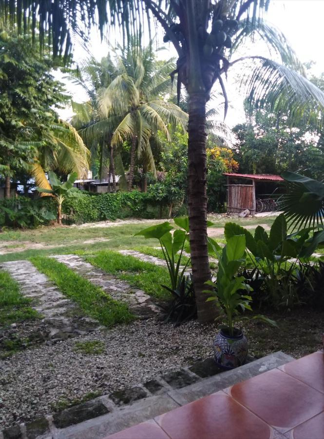 Guest house Casa Madrid *
