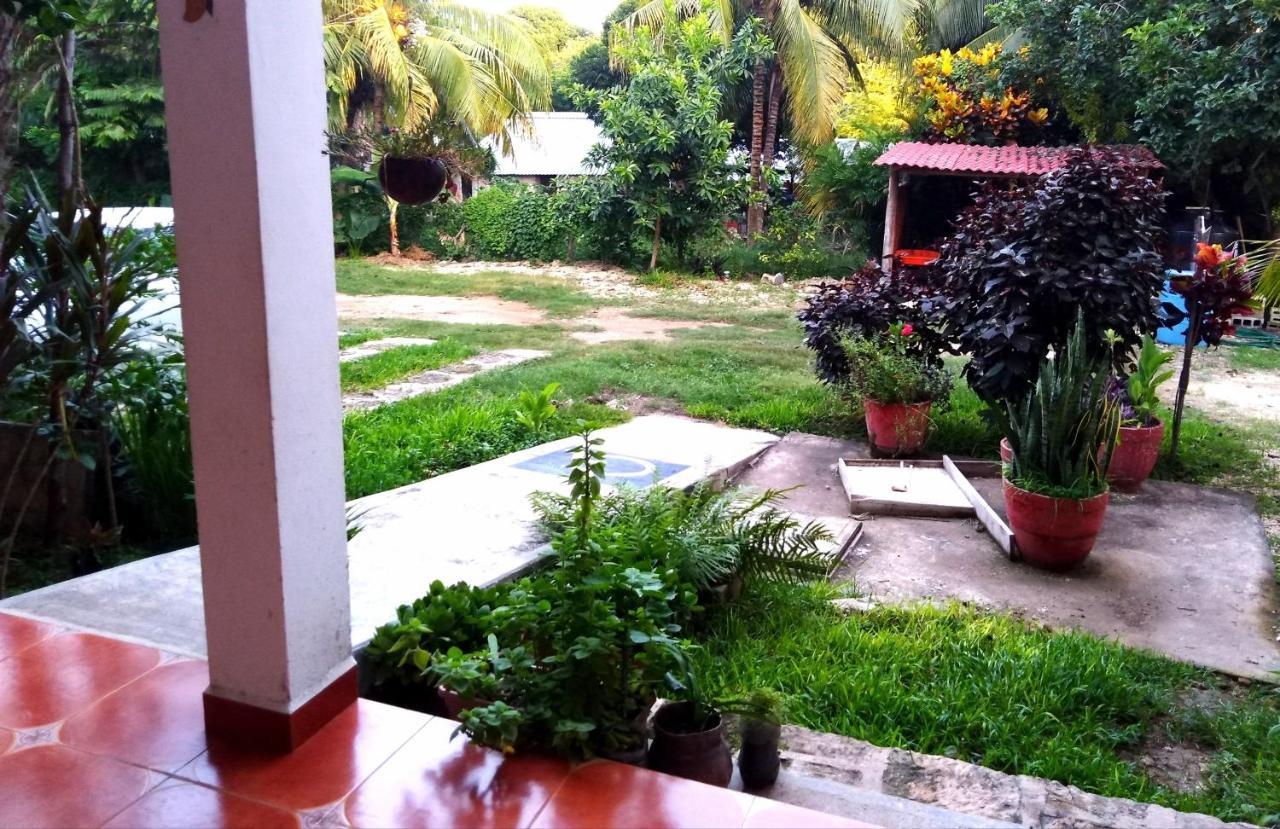 Guest house Casa Madrid