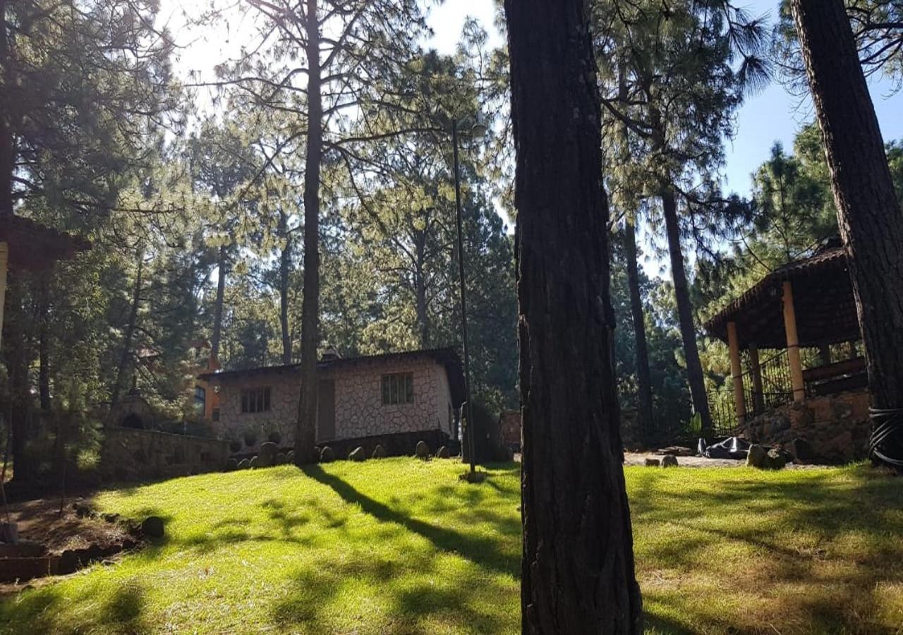 Lodge Ruizsenor *