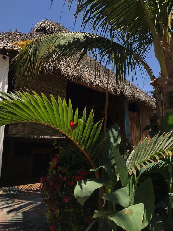 Condominio Agave Del Mar Hotel