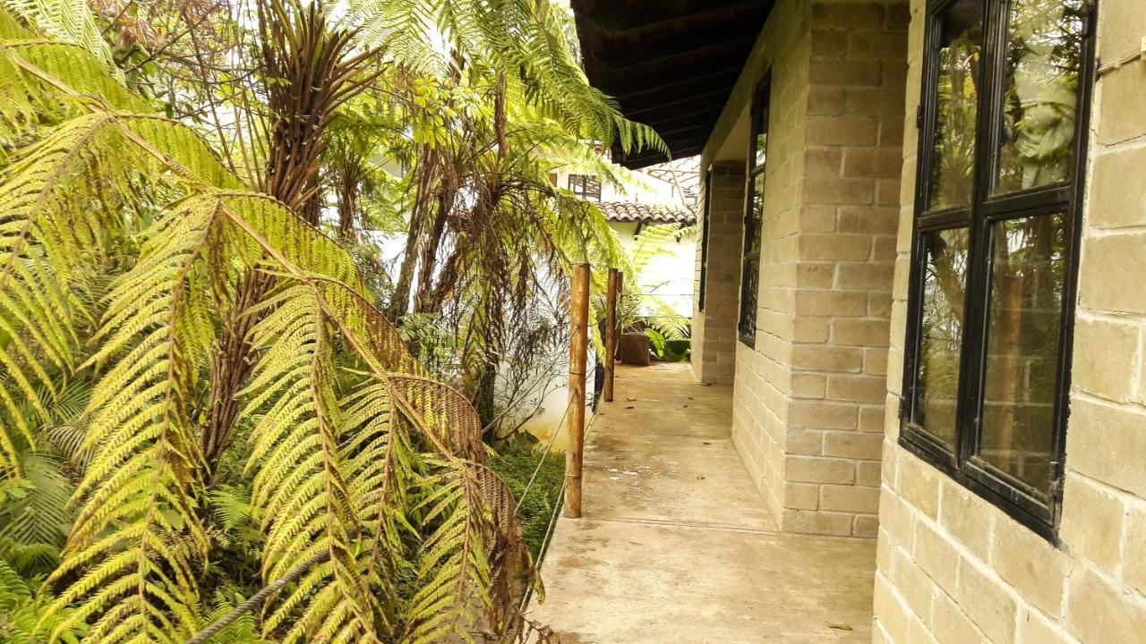 Totalmanik Hotel Cuetzalan