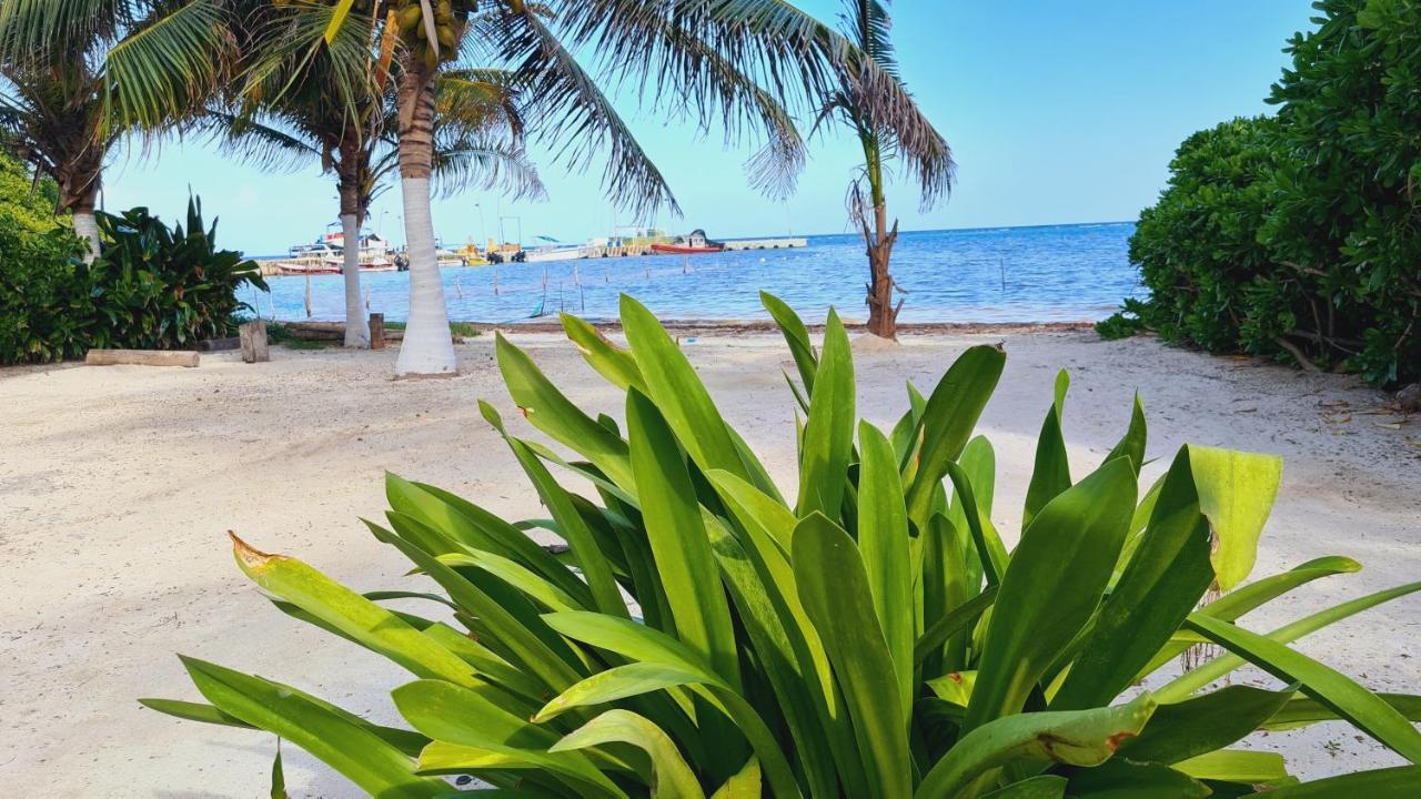 Machos Hotel Mahahual