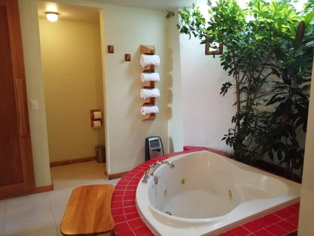 Casa Tsaya Boutique Bernal