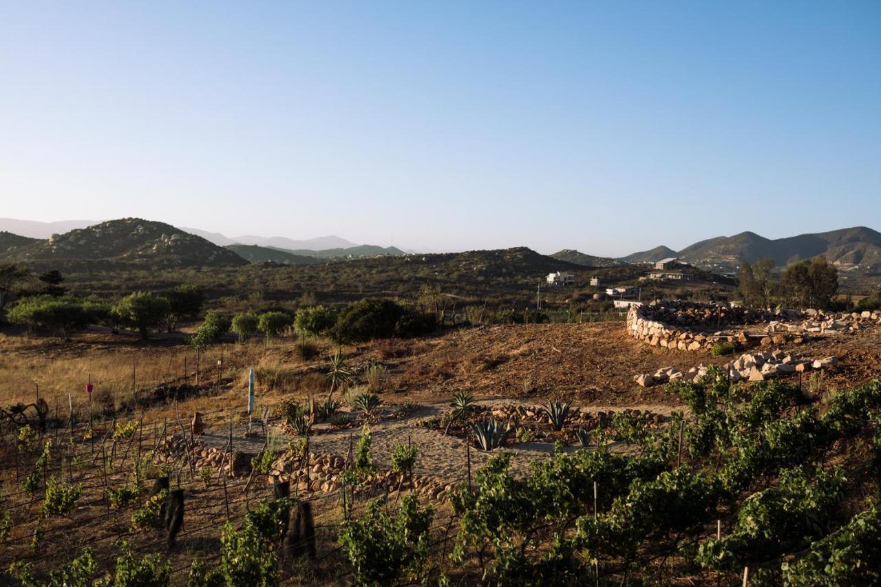 Uvauva Eco-retreat 4* Valle de Guadalupe
