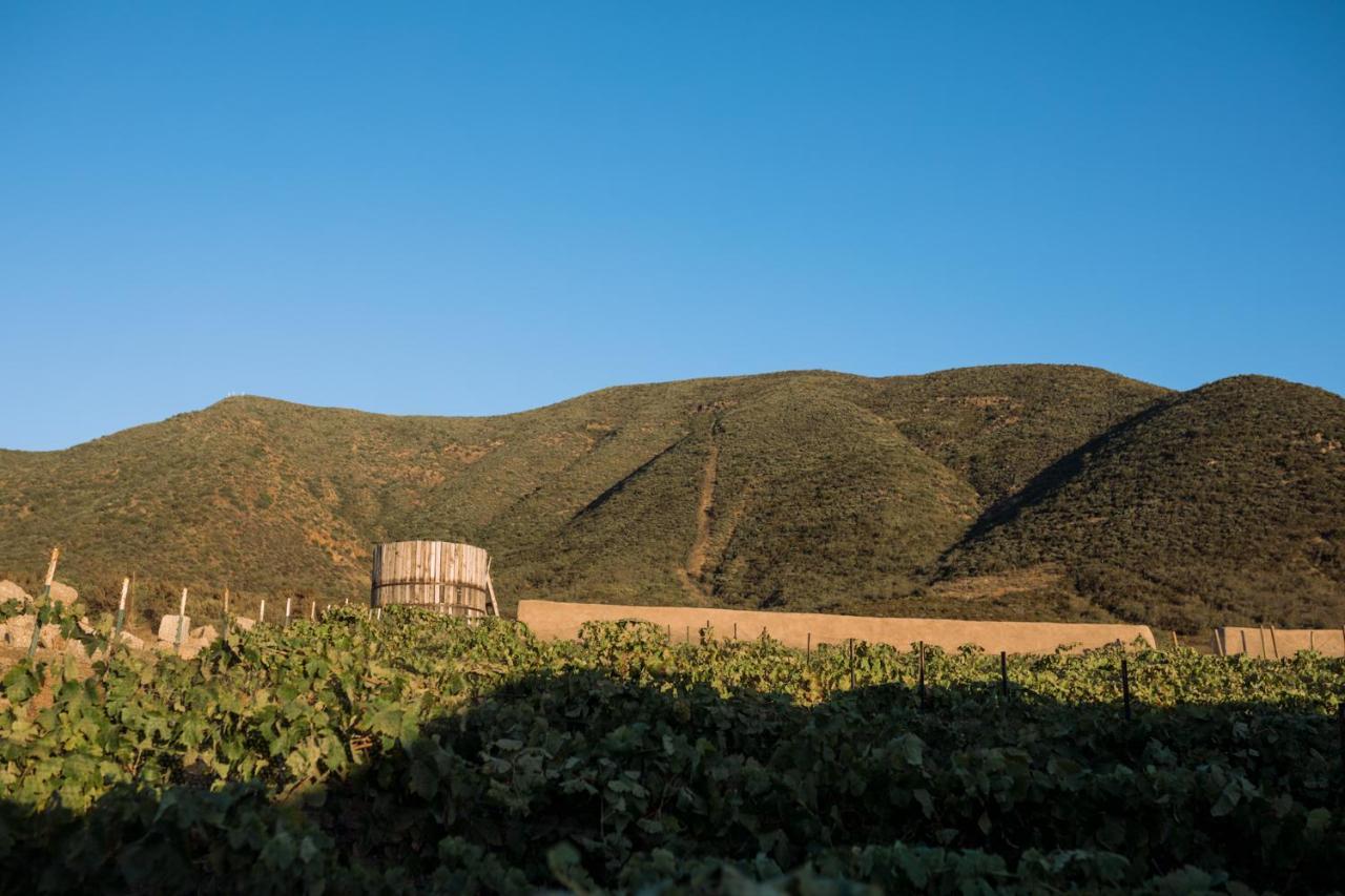 Uvauva Eco-retreat 4* Valle de Guadalupe