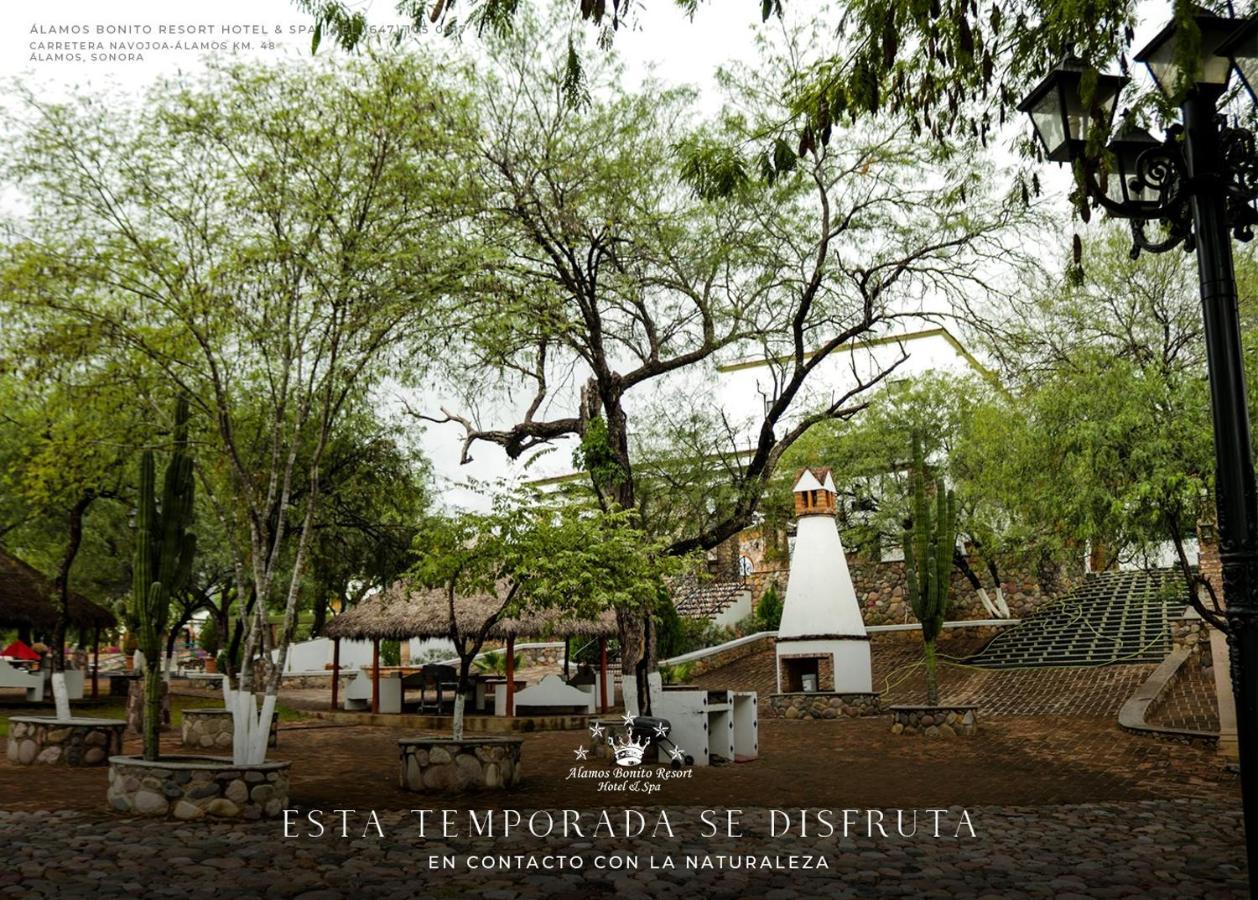 Bonito * Alamos