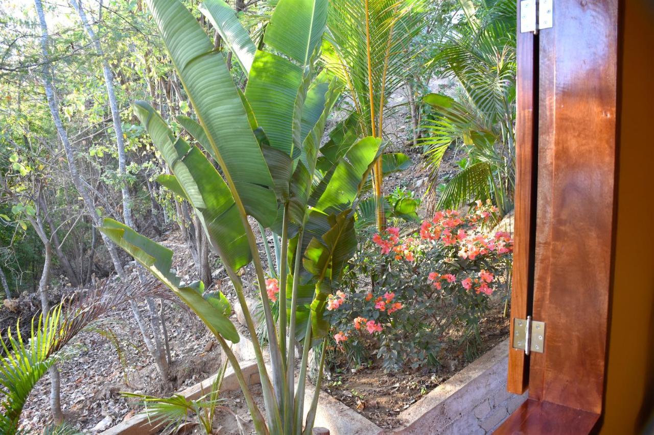 Bed & Breakfast Casa Biulu Zipolite