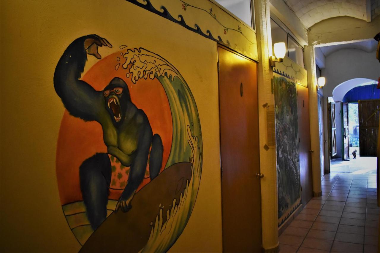 Guest house La Selva 2*