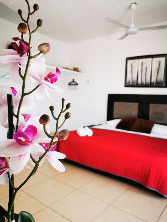 La Terraza Guest house