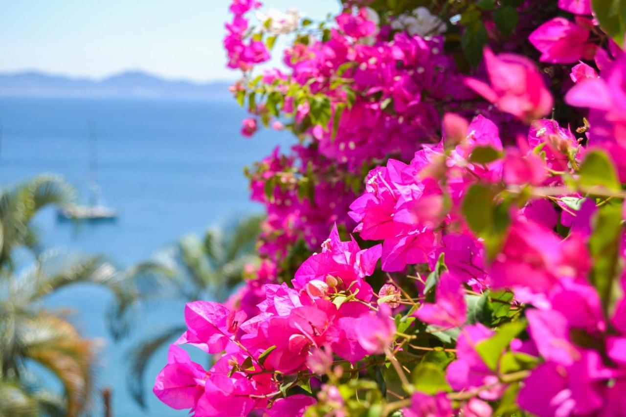 Playasol Hadas *