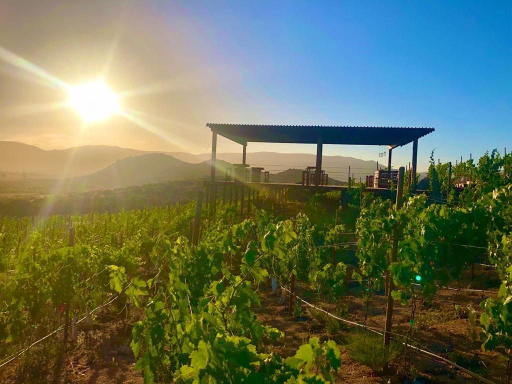 Siempre Valle Boutique Hotel Valle de Guadalupe