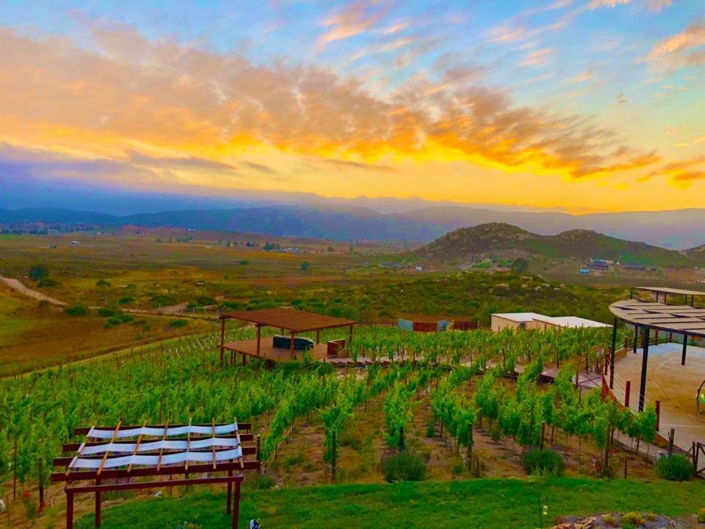 Siempre Valle Boutique Hotel Valle de Guadalupe