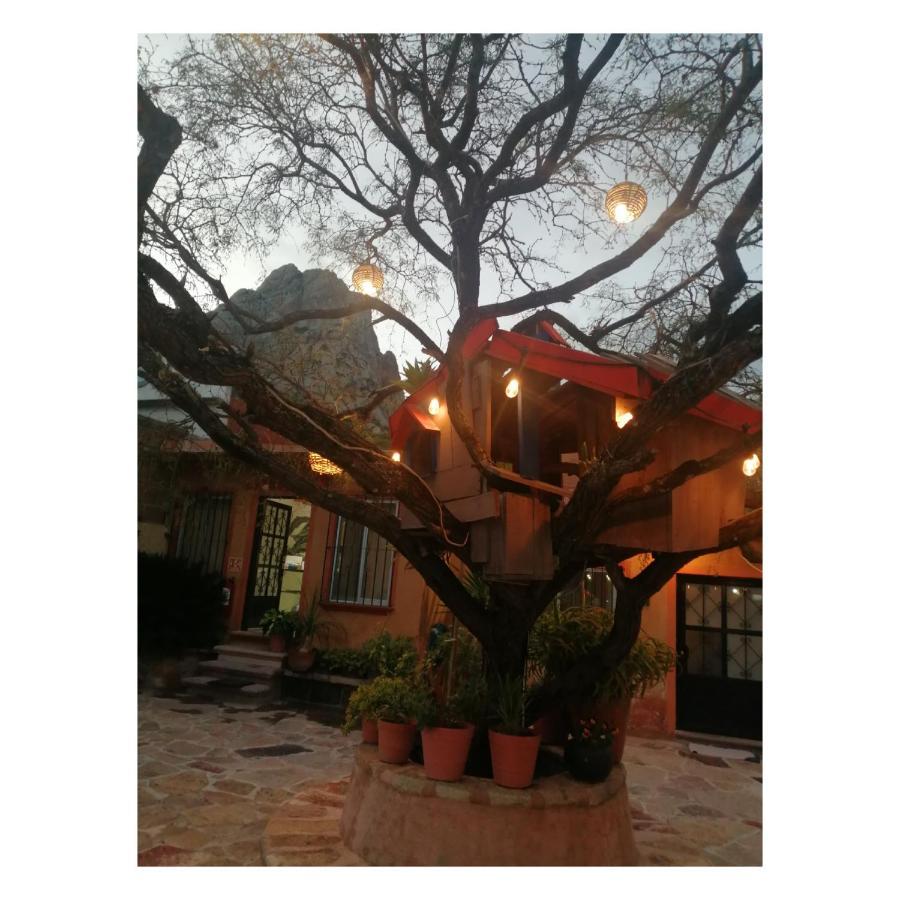 Hotel Casa Del Arbol Bernal