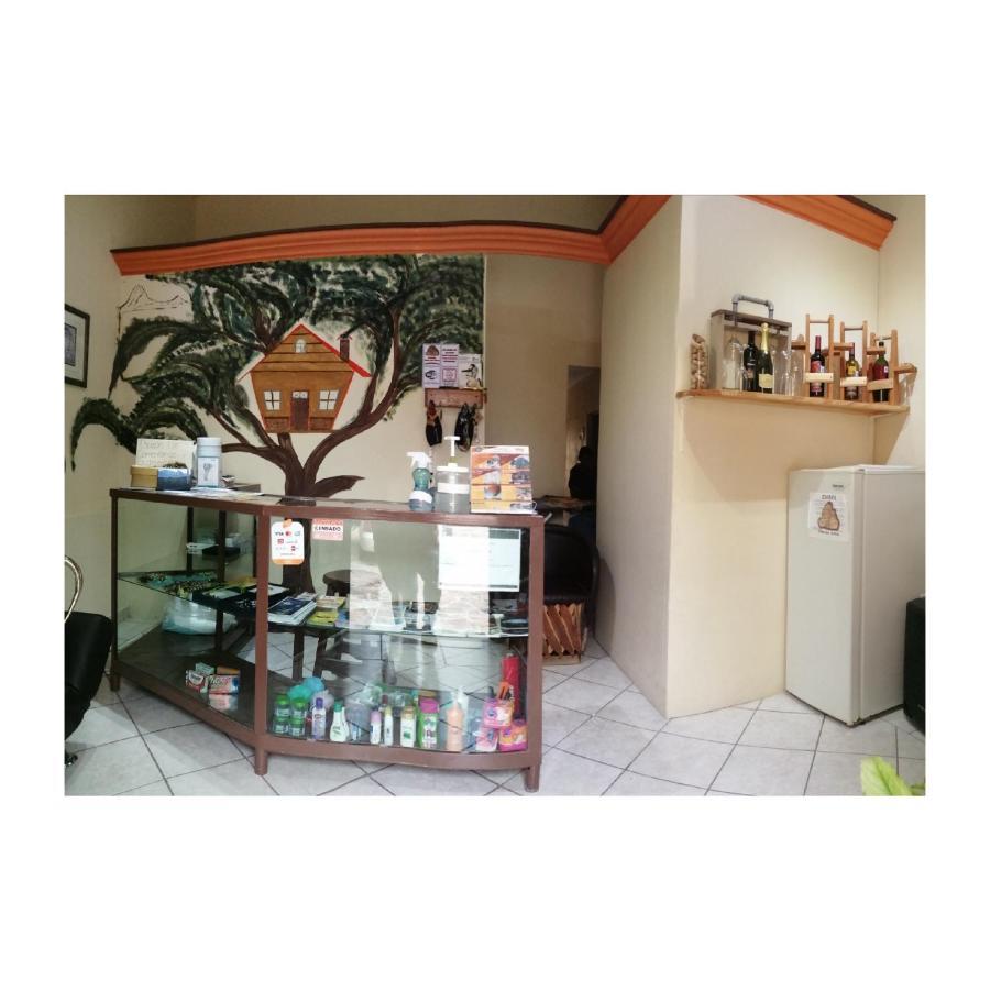 Hotel Casa Del Arbol *