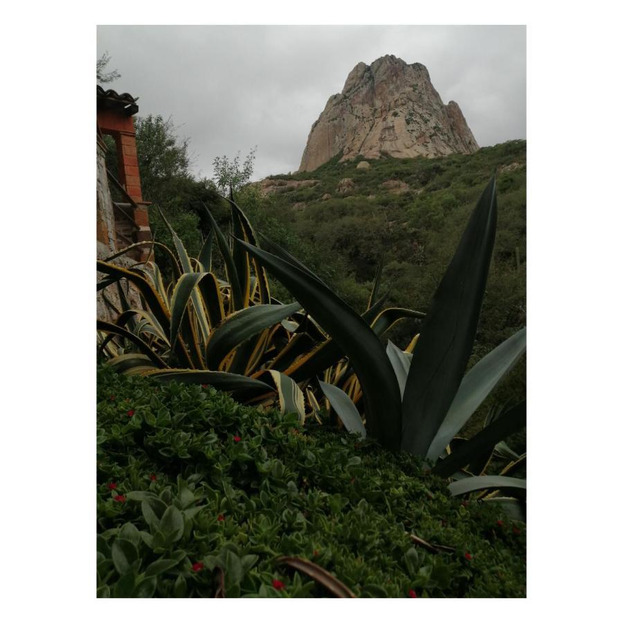 Casa Del Arbol Bernal