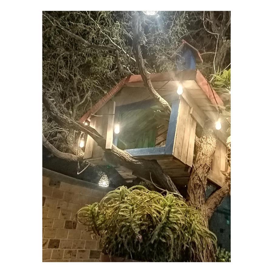 Casa Del Arbol Bernal