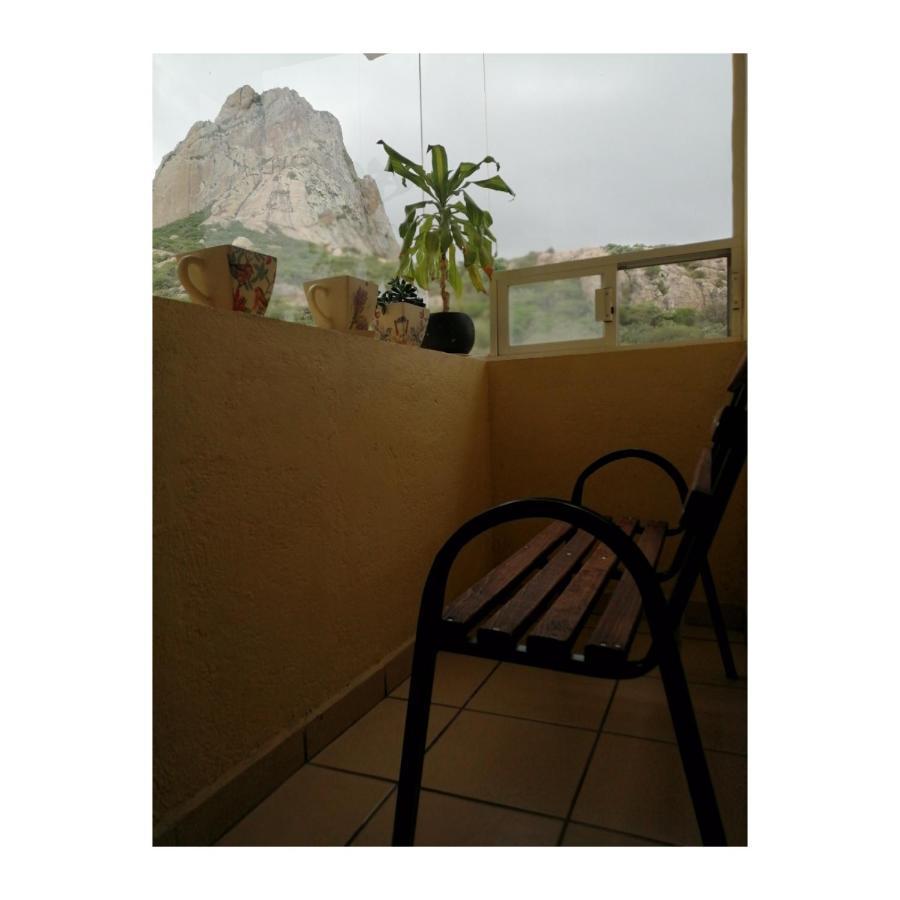 Hotel Casa Del Arbol
