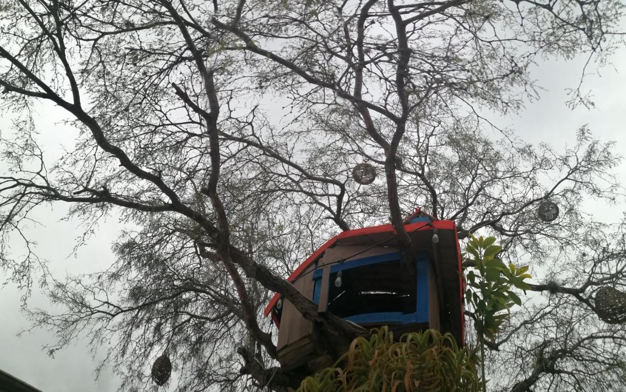 Casa Del Arbol * Bernal