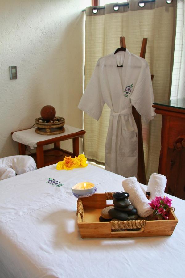 Concierge Flor Y Canto Tepoztlan