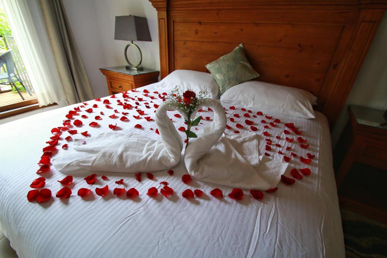 Hotel Concierge Flor Y Canto Tepoztlan