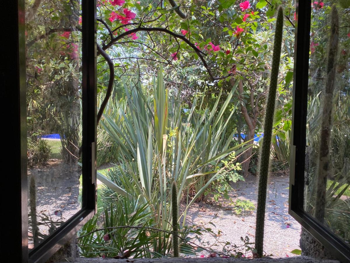 Hotel Colibri - & 3*