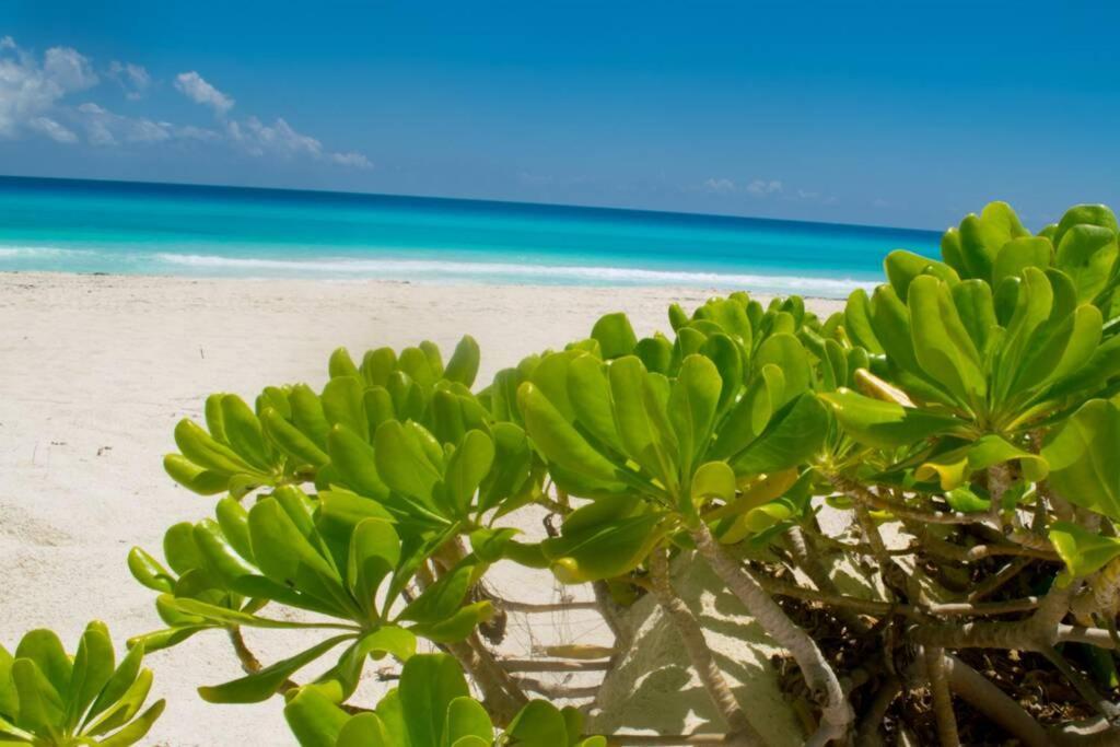 Marlin 108, A Pie De Playa, Albercas, Jacuzi, Ubicacion Inmejorable Villa Cancun